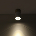 Потолочный светильник R-Loft LD-007