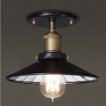 Потолочный светильник Loft 102C
