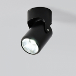 люстра Потолочный светильник R-Loft LD-005